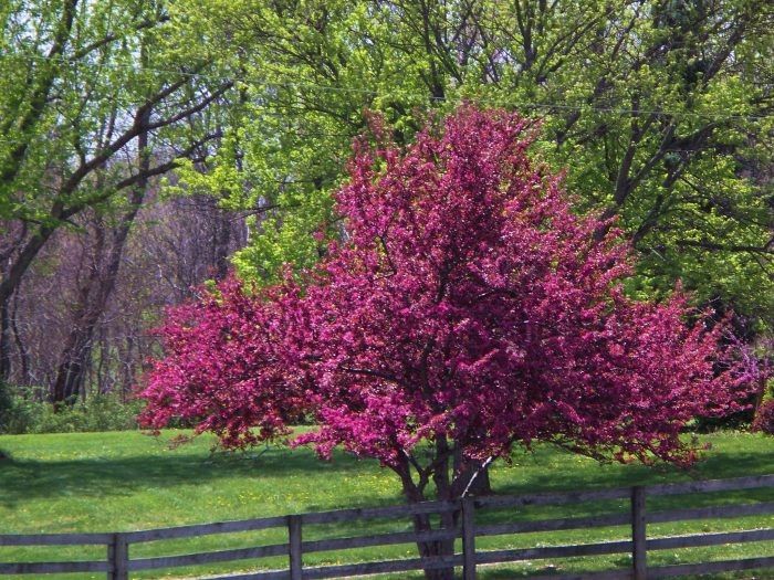 ������ �������: ���������� ����������� ��� ������ ���� � �������� ������������ ����������