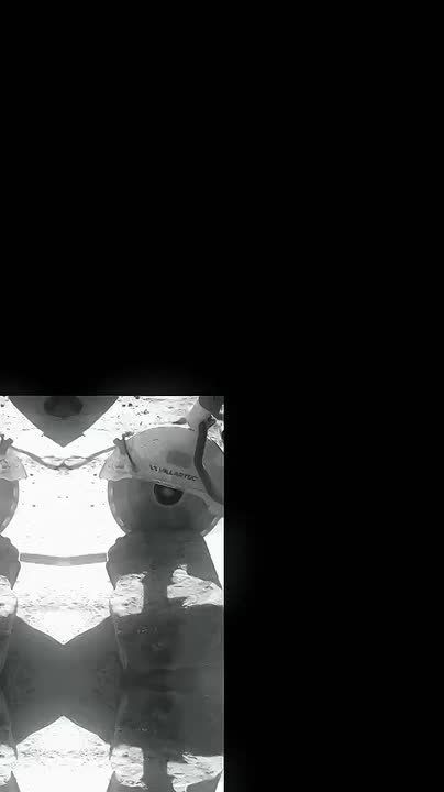 �������, ������� ��� ����������!