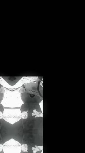 �������, ������� ��� ����������!