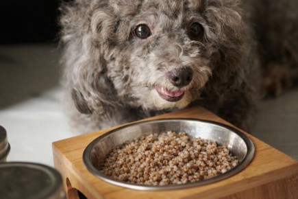 ���� ��� �����: ��� ����� ����� �� �����������