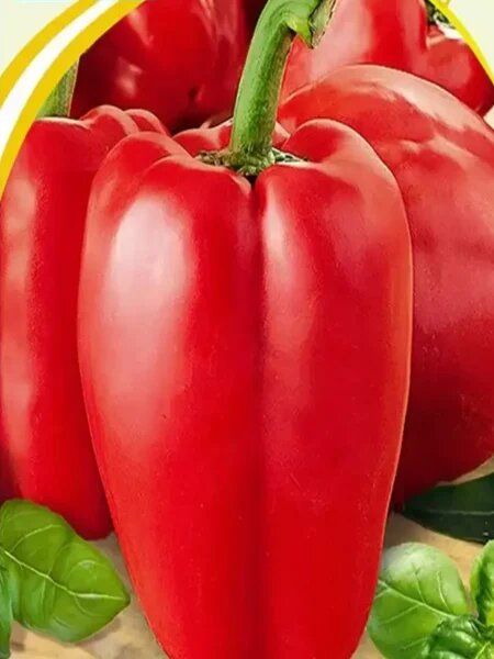 ����� ���������: ��������� ������� ��� ���������� �������