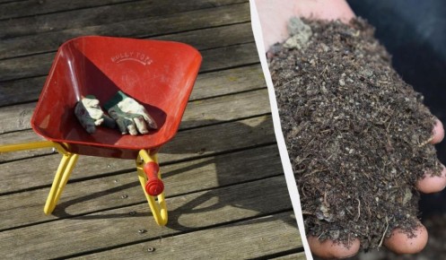 ������� ������ �������� �� ������ ������� ��� �����