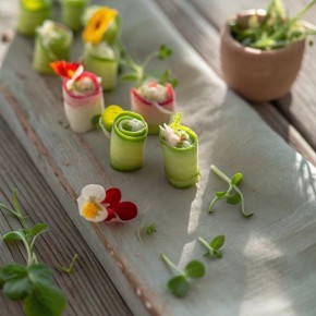 ��������� ����������: 5 ����� ��������� �������� ��� ��������� ����������