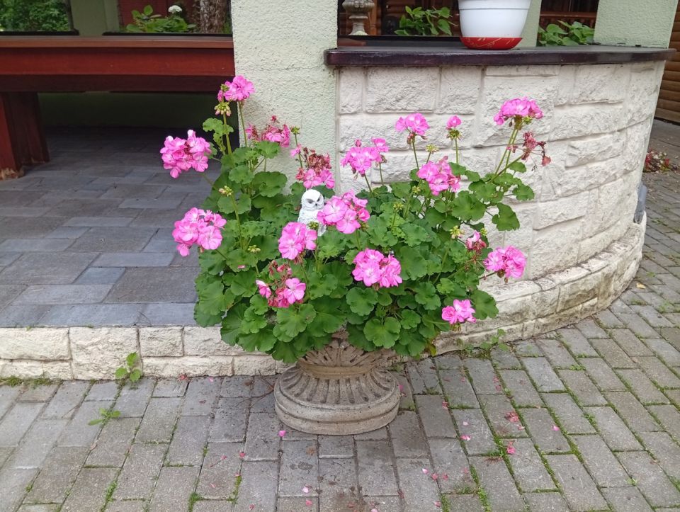 ���������� ���������: ����������� ��������� ������ �� ����� �������