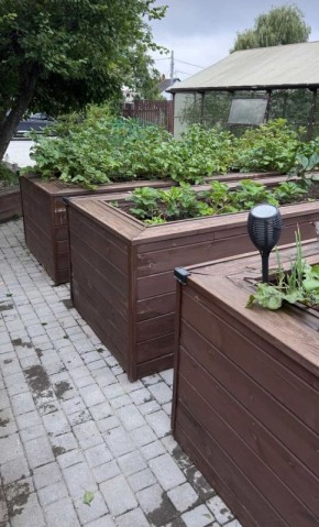 ����� ������ �� ������ �����: ��� �������������� �������� ������ ������ � ���������