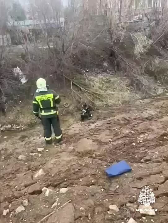 � ��������������� �������� �������� ����� �� ��������� ������