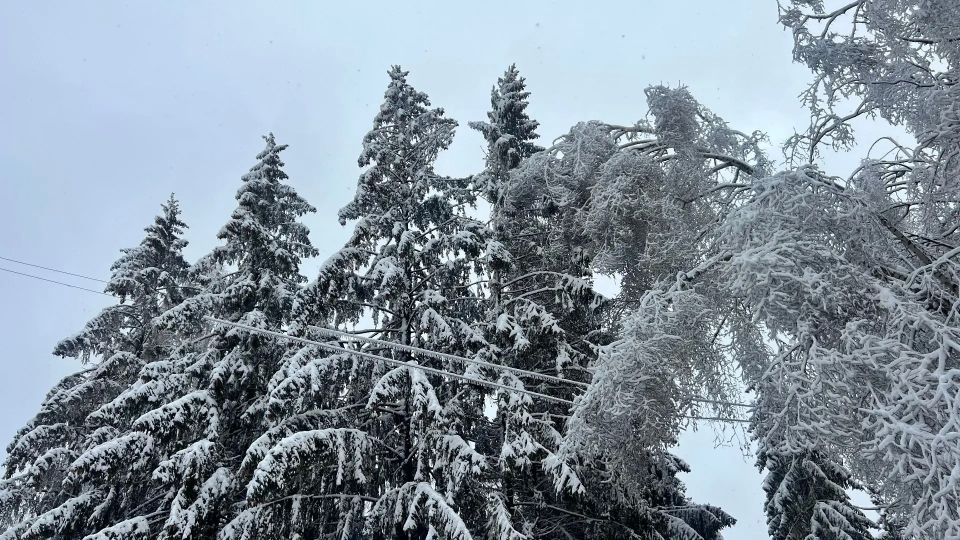 20-21 ������ ��-�� �������� ����� � ������� � ���������� ������� ������� ��������� ������� � ��������������.