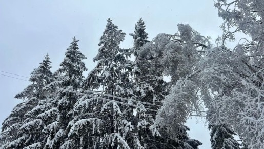 20-21 ������ ��-�� �������� ����� � ������� � ���������� ������� ������� ��������� ������� � ��������������.