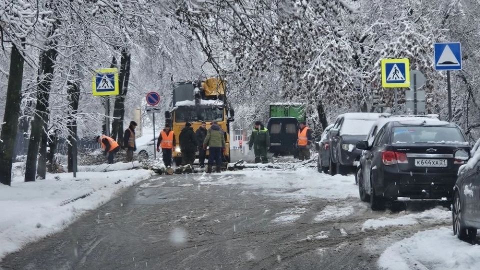 ����������� �������� � ����������: ������������ ������ �������� � ��������� ������