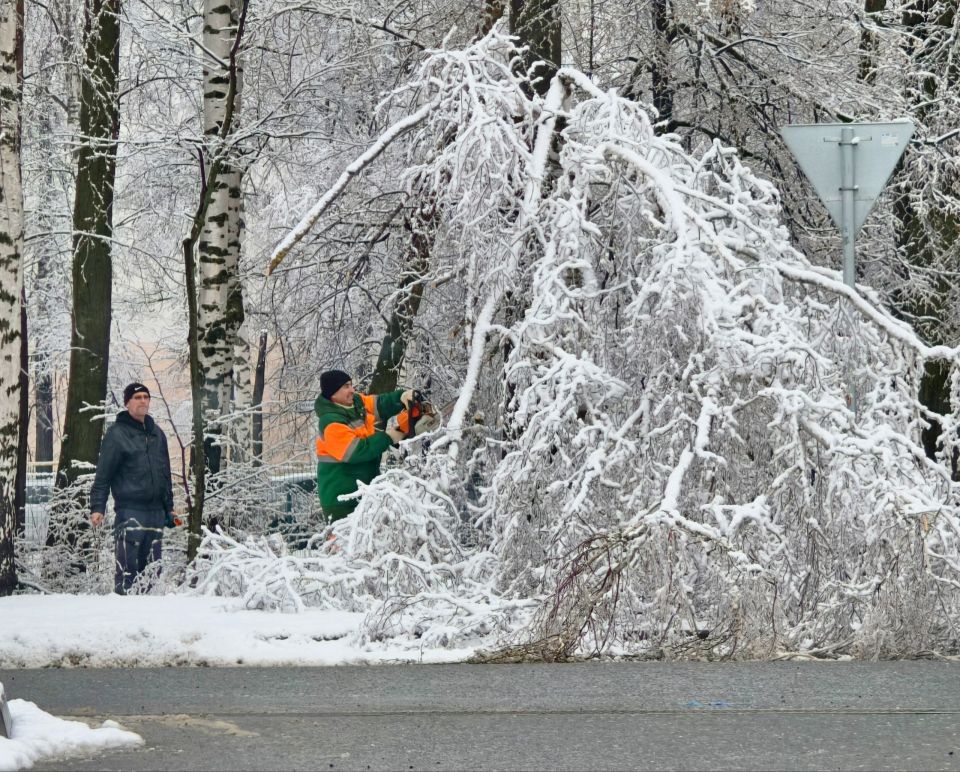 ����������� �������� � ������� ��������� ����������