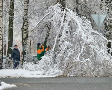 ����������� �������� � ������� ��������� ����������