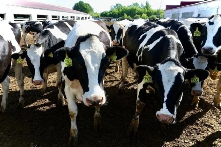 �������������� ������� ������������� ���������� ����