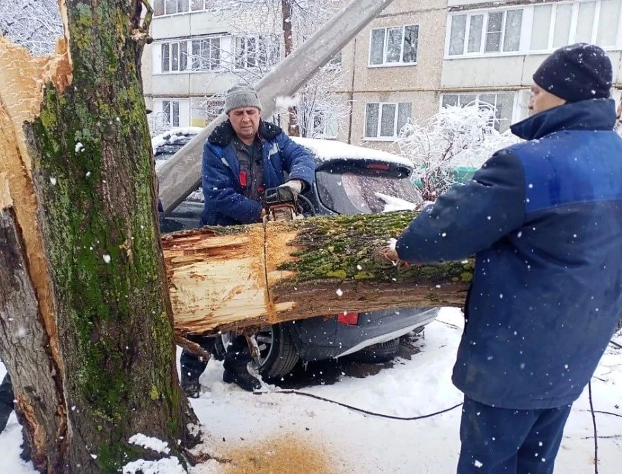 ��������� ������! ���� ��������� �������� ���������� ������������� ����������� �������