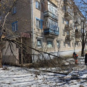 ���������� ����������� �������� � ���������� ������������