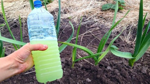 ���������� �� ������� �������: ������� ������� ������ ��� ������