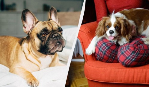 ��� ���������� ��������� ����� ����� ����� ��������� �� ������ �������