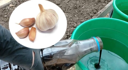 ������� �������� ������� ������� �������