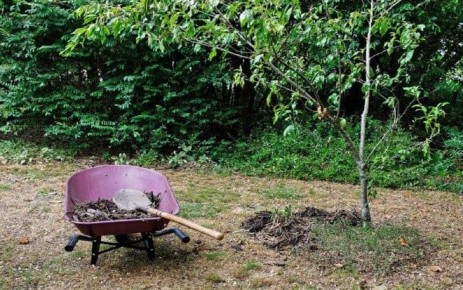 ������� ���� �� ��������� ���������: ���� � �������� �������