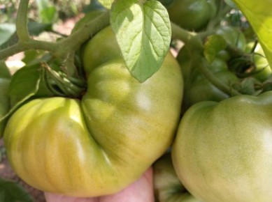 ����� ��������� ������: ��� ��������� ������� ������ � ������� ������ ������