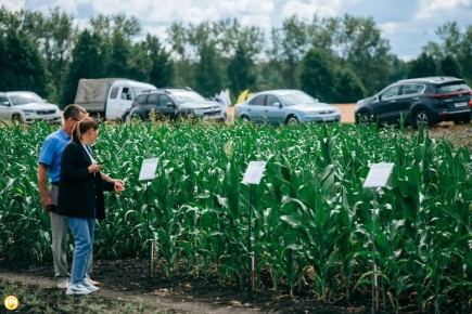 �������� �������, ��������!