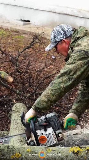 ����� ���������� ���������