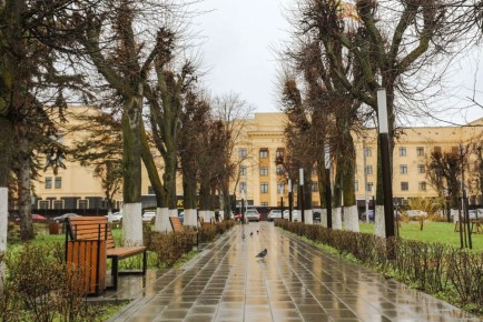 ������ ����, ������� �����!