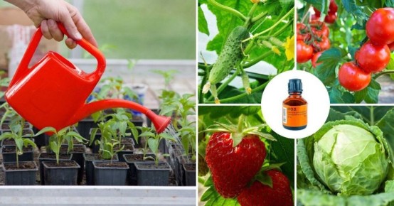 ���: ������� �������� ��� �������� �� ������� �� ��������