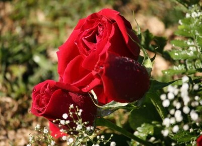 ��������� ���� � �������� ������� � ������� �������� �����������