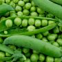 10 ������ ������ ��� �������� �������