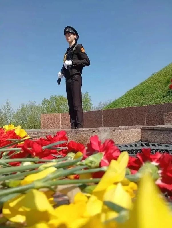 В рамках подготовки к 81-й годовщине Великой Победы образовательные учреждения столицы Чувашии стали центром масштабных патриотических инициатив В рамках подготовки к 81-й годовщине Великой Победы образовательные учреждения столицы Чувашии стали центром масштабных патриотических инициатив