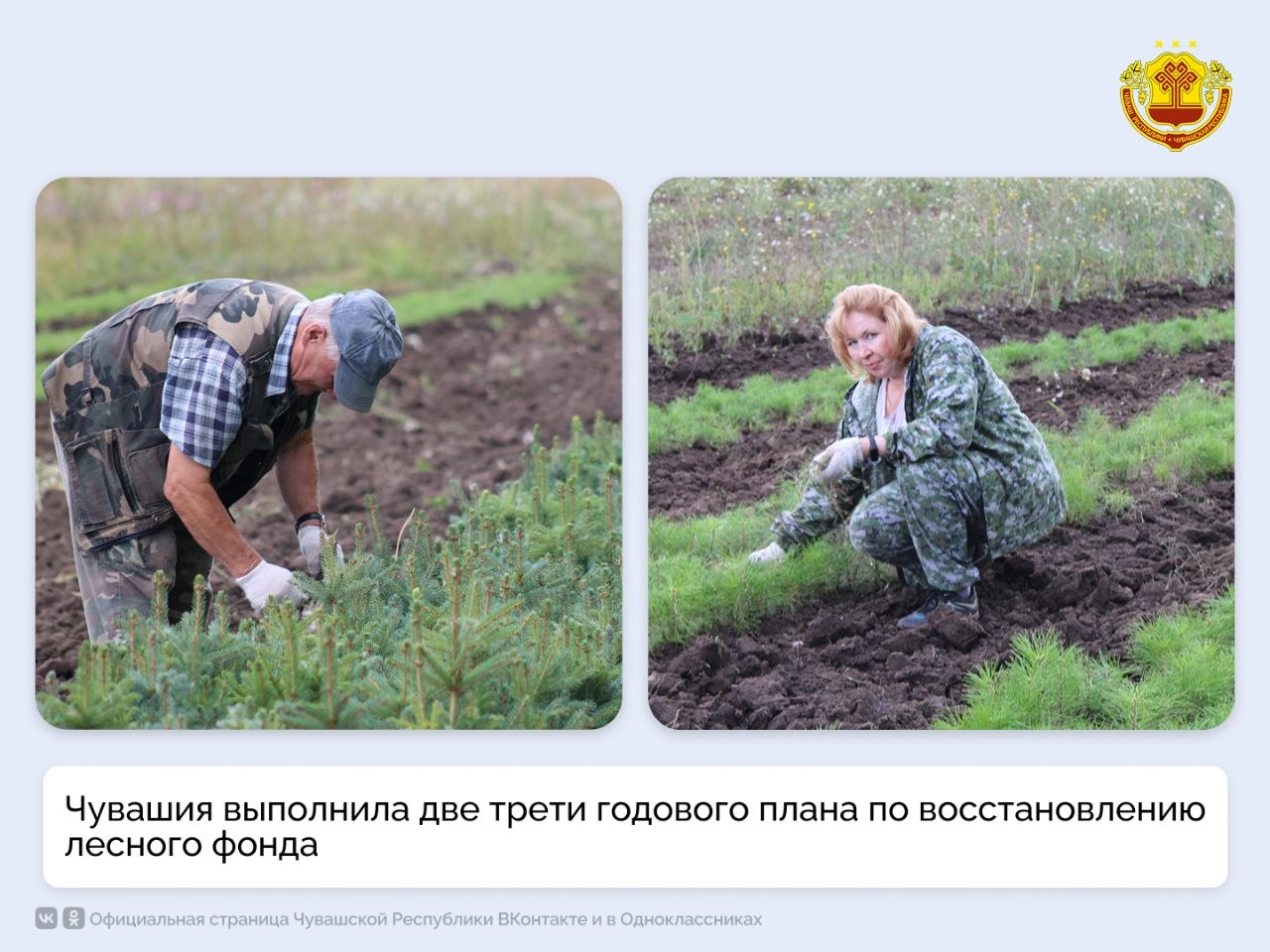 Этой весной в лесничествах республики высадили более 166 гектаров новых лесов и защитных насаждений