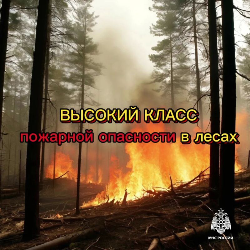 Жара в Чувашии продлится до конца недели