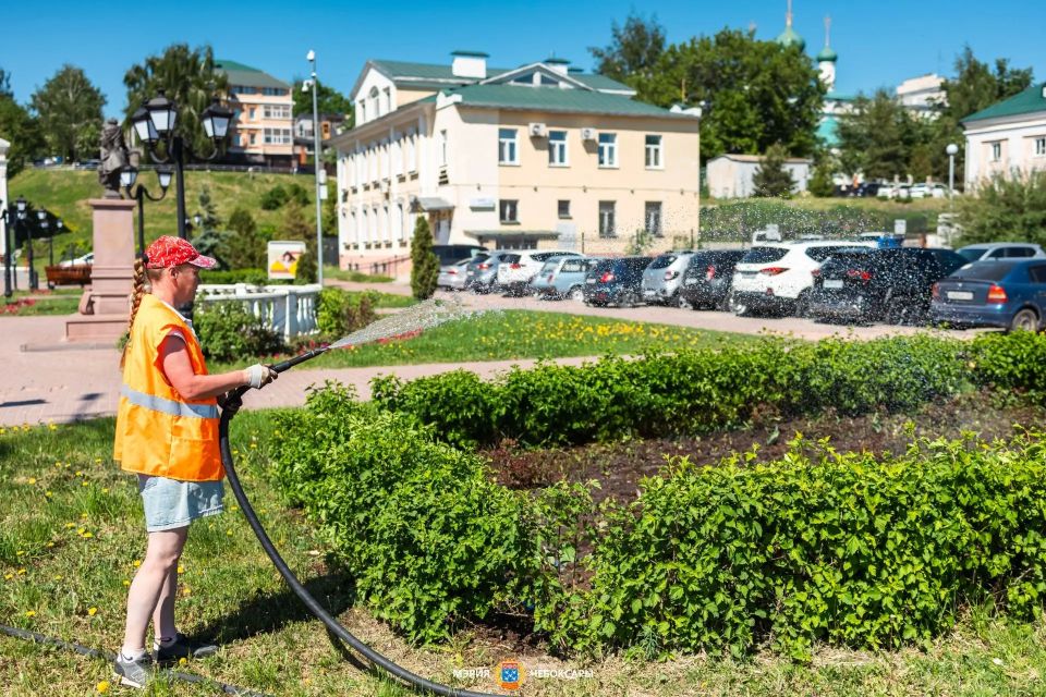«Зеленстрой» продолжает летнее благоустройство: косьба, посадка цветов и стрижка кустарников «Зеленстрой» продолжает летнее благоустройство: косьба, посадка цветов и стрижка кустарников