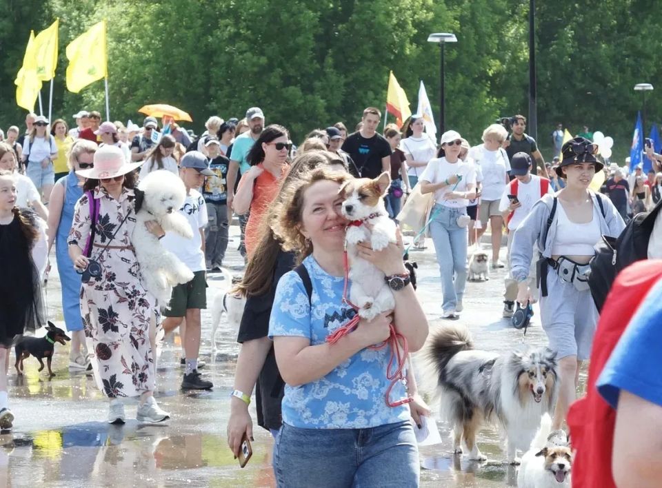 Хвостики вверх: в Чебоксарах прошёл четвёртый «Парад собак» Хвостики вверх: в Чебоксарах прошёл четвёртый «Парад собак»
