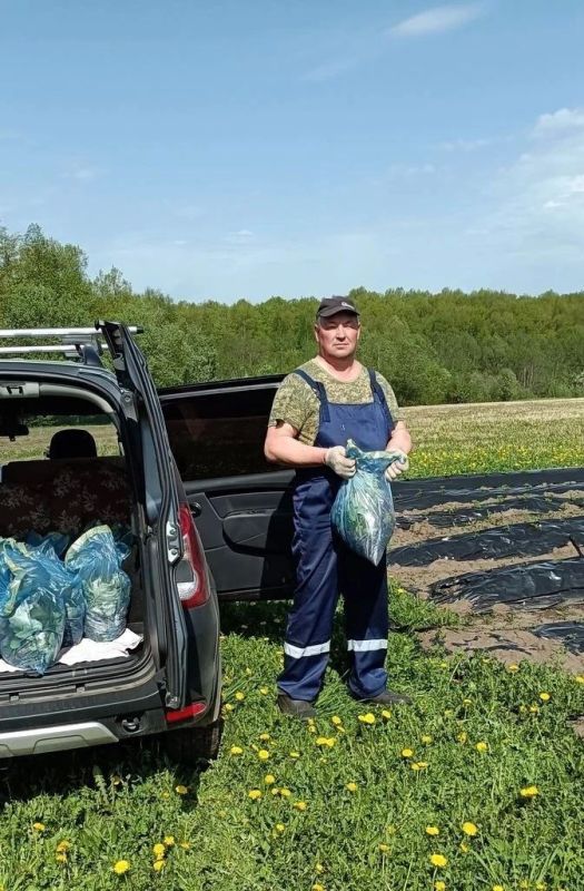 Участник СВО Андрей Скворцов из Моргаушского округа развивает собственное хозяйство, выращивая землянику садовую Участник СВО Андрей Скворцов из Моргаушского округа развивает собственное хозяйство, выращивая землянику садовую