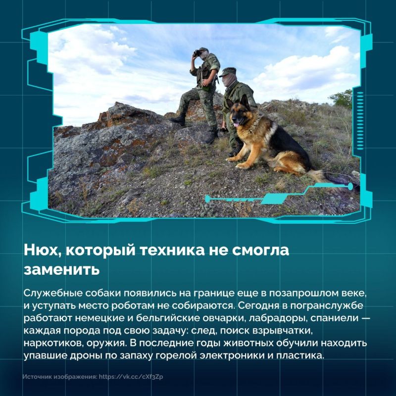 28 мая свой профессиональный праздник отмечают те, кто охраняет рубежи нашей огромной Родины: от Калининграда до Владивостока 28 мая свой профессиональный праздник отмечают те, кто охраняет рубежи нашей огромной Родины: от Калининграда до Владивостока