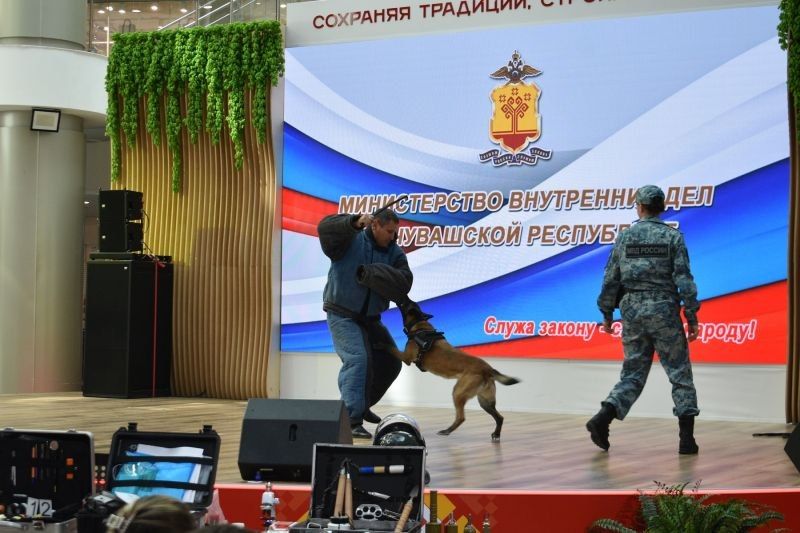 В Чувашии жителей и гостей столицы республики пригласили провести «Один день с полицией России» В Чувашии жителей и гостей столицы республики пригласили провести «Один день с полицией России»