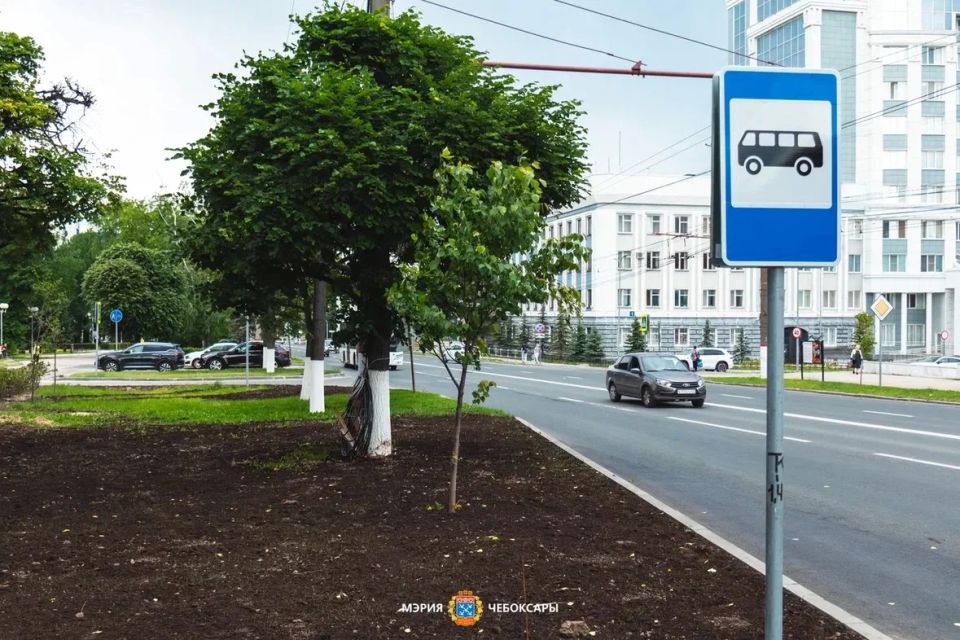 Обновленная остановка «Дом торговли» на улице Карла Маркса Обновленная остановка «Дом торговли» на улице Карла Маркса