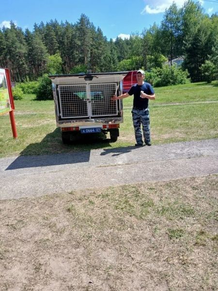 В Чувашии полицейские и общественники провели акцию «Каникулы с общественным советом» в детском лагере в Алатырском округе В Чувашии полицейские и общественники провели акцию «Каникулы с общественным советом» в детском лагере в Алатырском округе