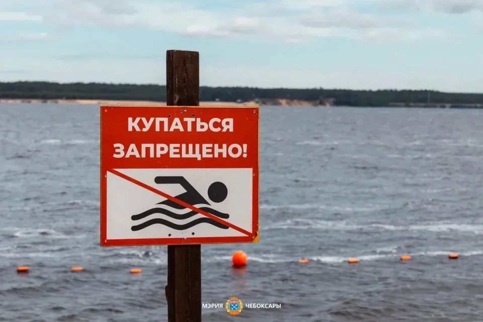 Станислав Трофимов: Лето — время повышенной ответственности