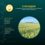 ������� ������� ��� �������� �������!