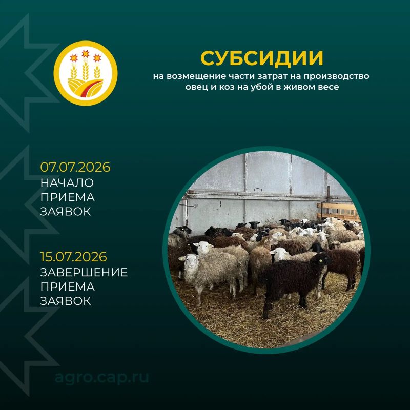 Более 25 млн рублей — на поддержку животноводства в Чувашии! Более 25 млн рублей — на поддержку животноводства в Чувашии!