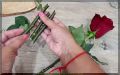 ��� ���������� ����: ������� ��������� ���������� ��������