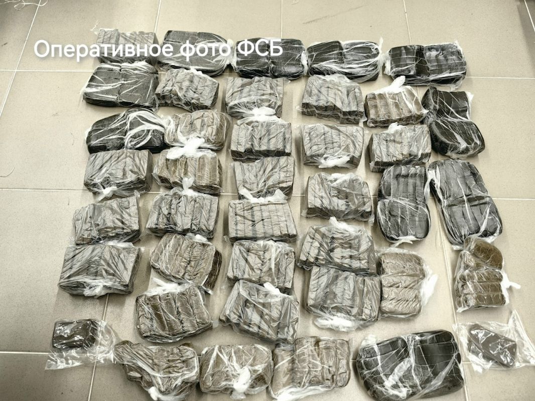 На М-12 в Чувашии задержали подозреваемого с 28 кг гашиша На М-12 в Чувашии задержали подозреваемого с 28 кг гашиша