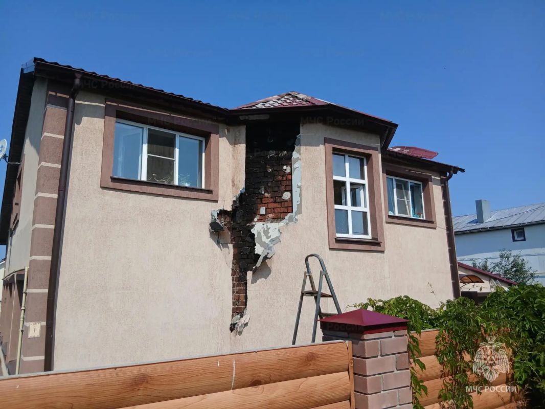 В Чувашии сельчанин едва не спалил дом, пытаясь сжечь муравьиное гнездо