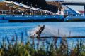 В Чувашии ввели нормы для любителей водного спортинвентаря