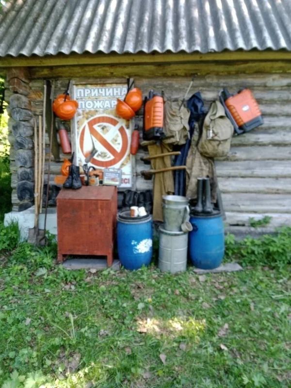 У двух арендаторов лесных участков в Чувашии нашли нарушения У двух арендаторов лесных участков в Чувашии нашли нарушения