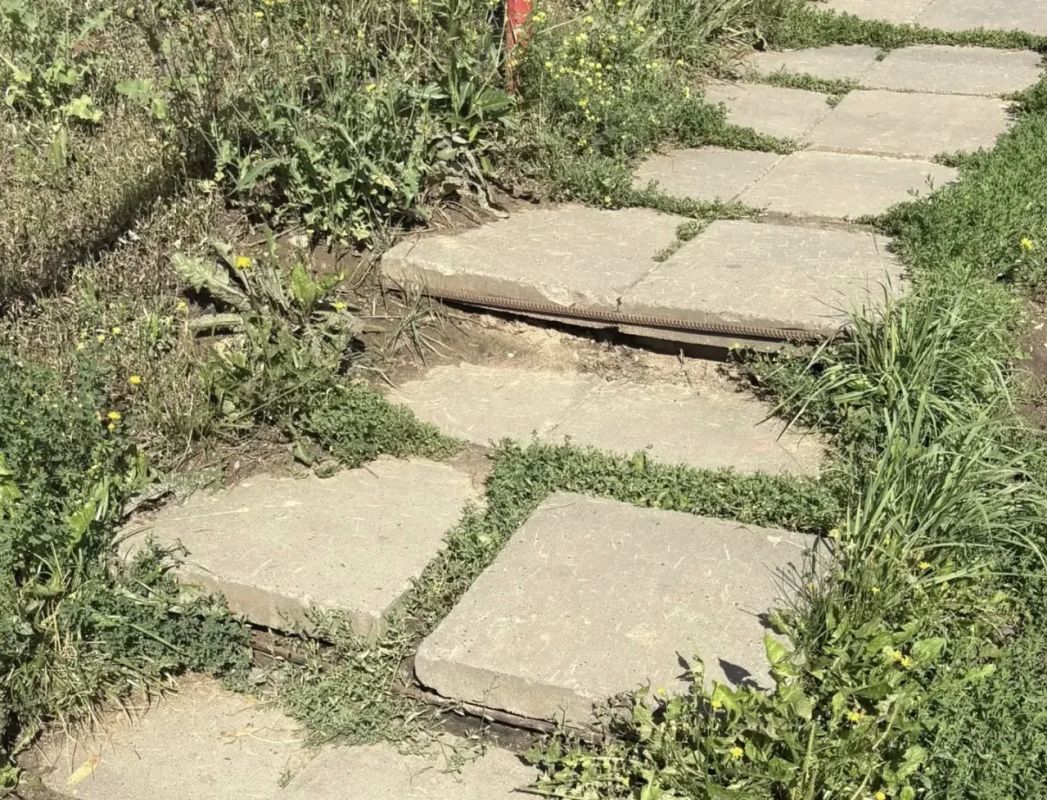 Продолжаем инспекцию городских территорий в Новочебоксарске Продолжаем инспекцию городских территорий в Новочебоксарске