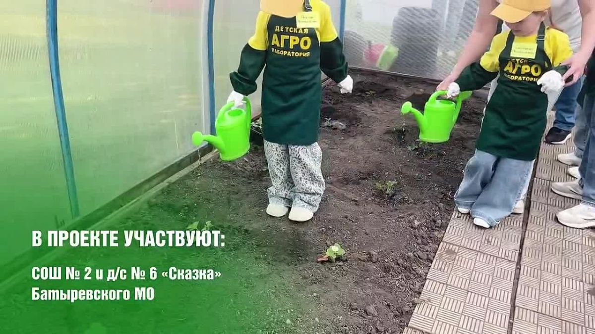 Эксперты «Росатома» и «Сенежа» отметили уникальность проекта «Фабрика процессов» в ягодоводческой сфере Чувашии