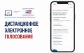 Стартовал приём заявлений на дистанционное электронное голосование